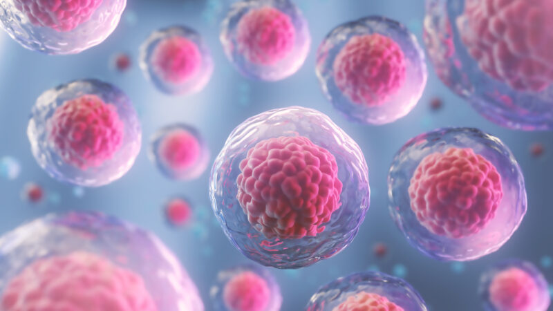 10 Daily Habits That Could Increase Your Cancer Risk