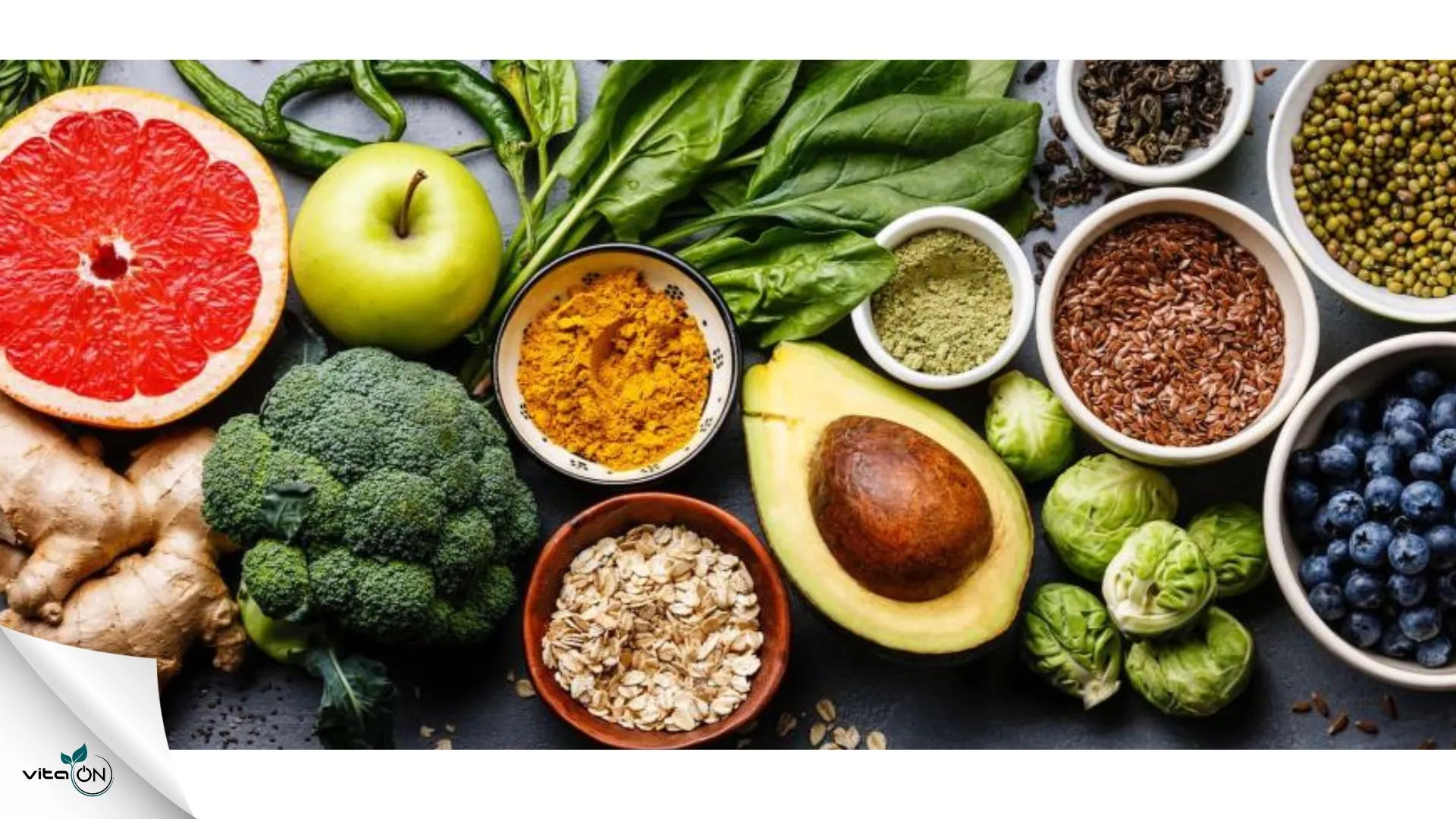 Immune System